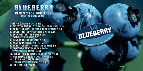 U2-Blueberry-Front.jpg